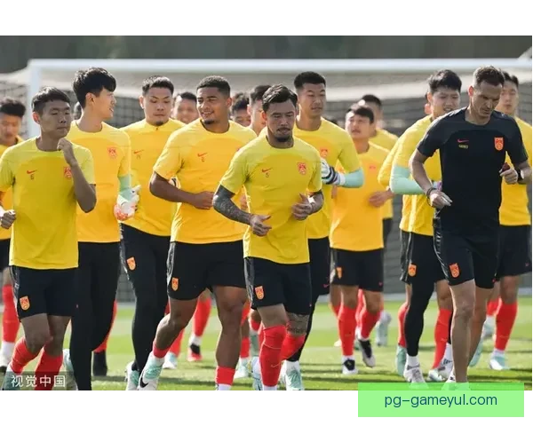 卡塔尔赛事停摆 美欧杯或改期地